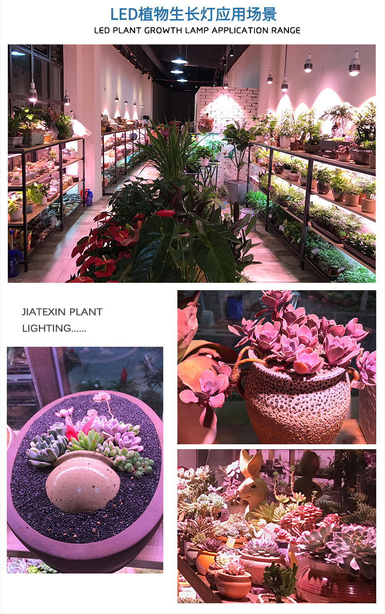 1646903285222144.jpg 21718454743_1569344574.jpg